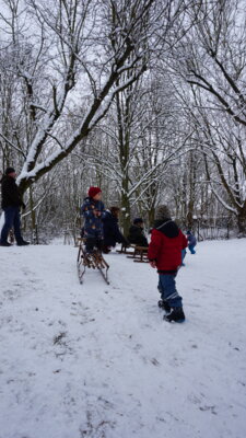 Foto des Albums: Es schneit, es schneit, kommt alle aus dem Haus!
