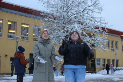 Foto des Albums: Valentinstag 2024