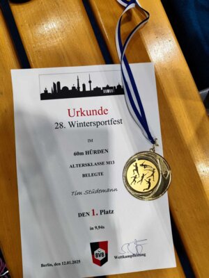 Foto des Albums: 28.Wintersportfest Berlin-Hohenschönhausen