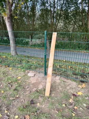 Die ersten Zaunelemente werden gesetzt  (Bild vergr&ouml;&szlig;ern)