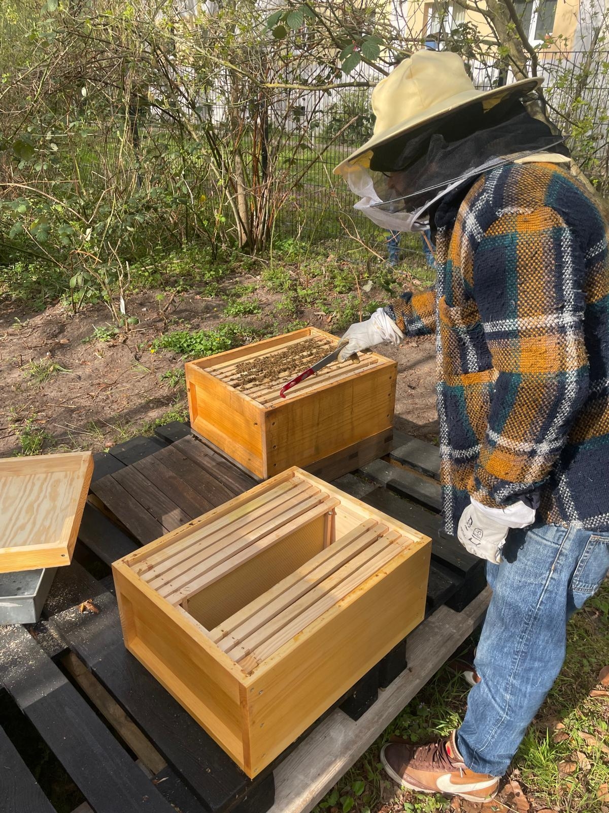 Bild: 11.04.2025: heute trauen wir uns mal ohne Imker an die Bienen und setzen die Honigräume auf.