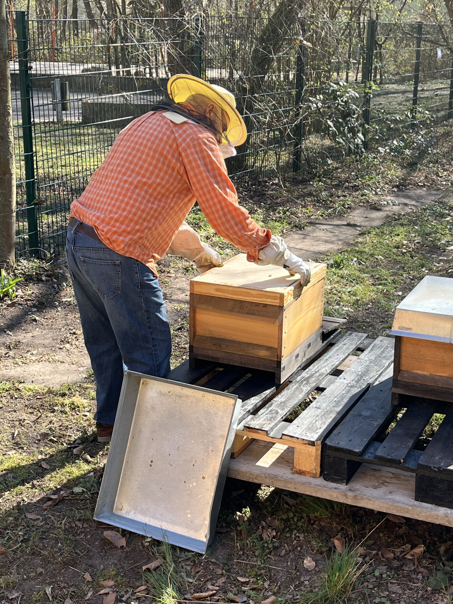 Bild: Imker Ivan öffnet eine Bienenbeute