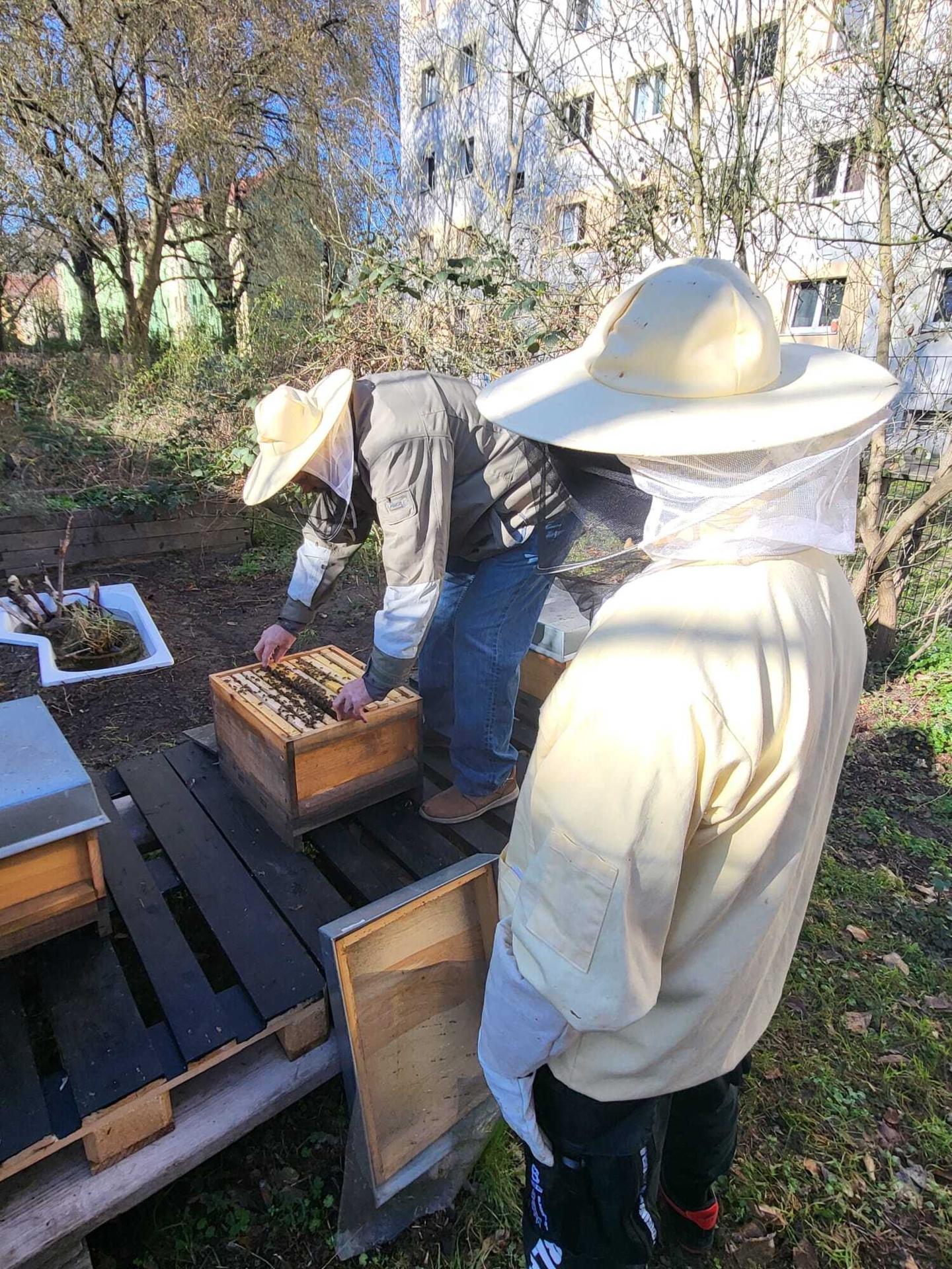Bild: 04. April: Erster Besuch einer Klasse bei den Bienen
