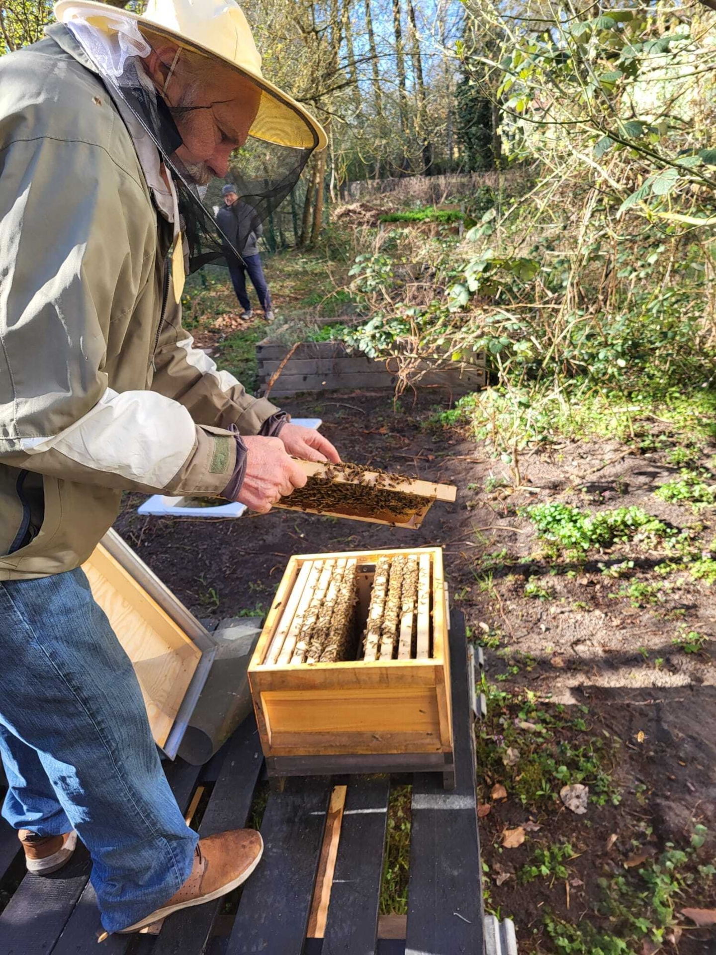 Bild: Kontrolle bei den Bienen am 04. April 2025