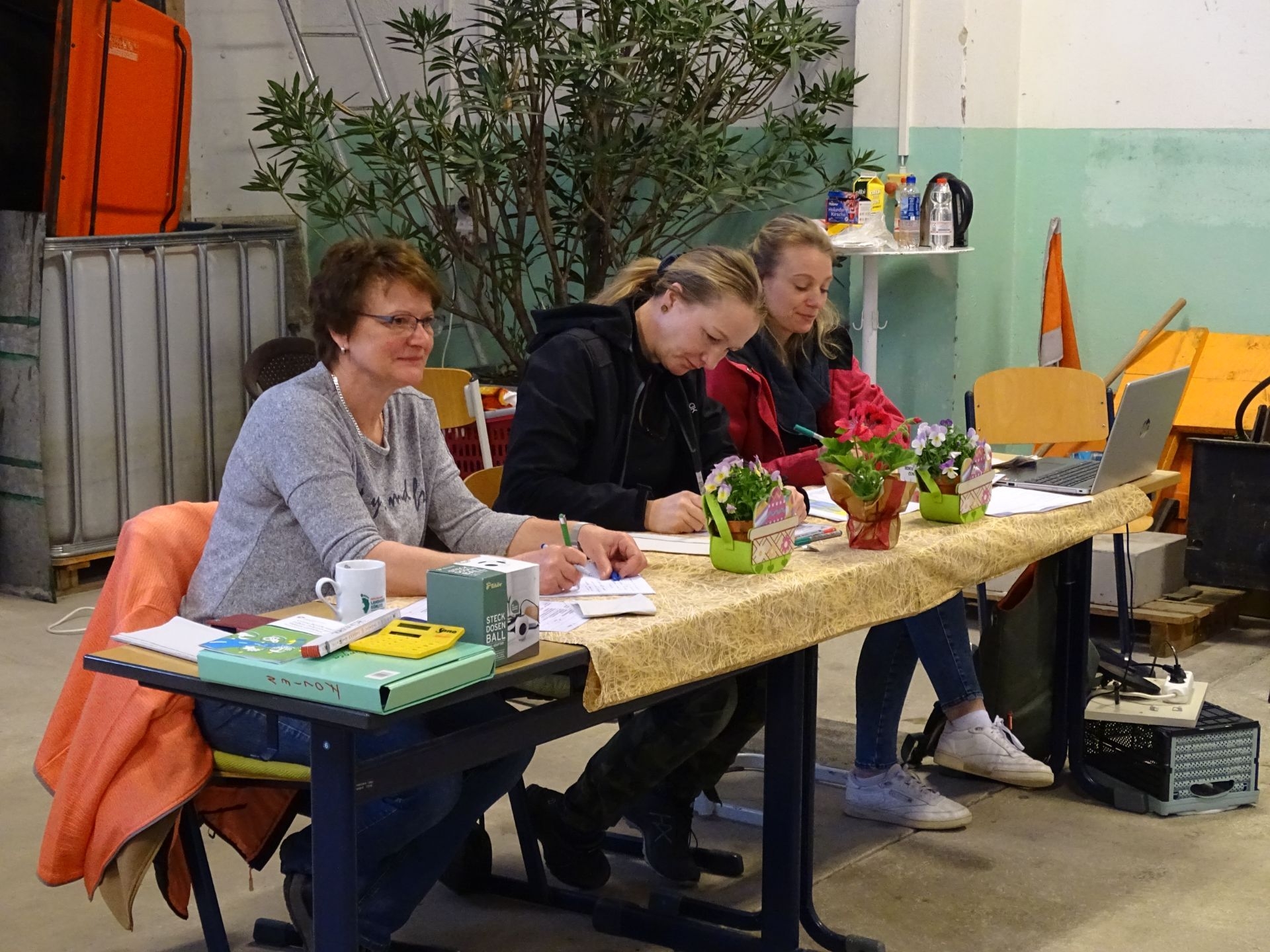 Bild der Galerie