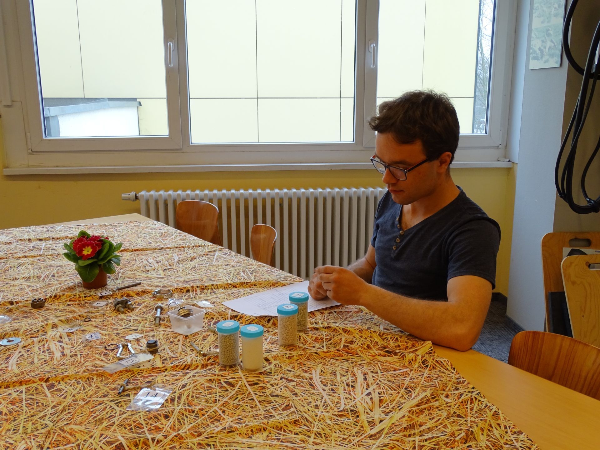 Bild der Galerie