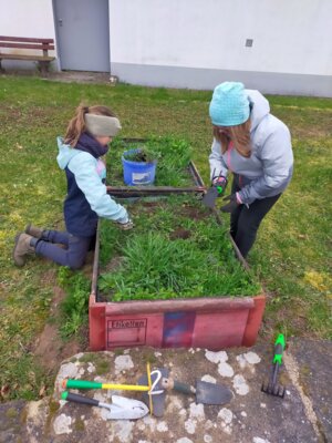 Fotoalbum Arbeitseinsatz Grünes Klassenzimmer