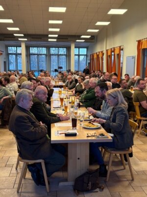 Saal1 
