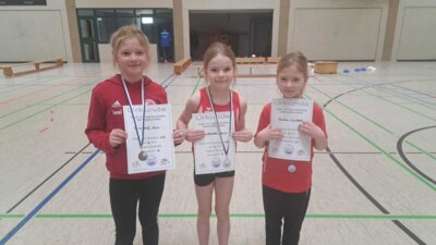 Foto des Albums: Offene Regionale Hallenkreismeisterschaften Torgelow