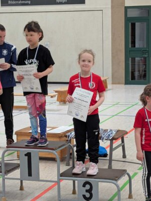 Foto des Albums: Offene Regionale Hallenkreismeisterschaften Torgelow