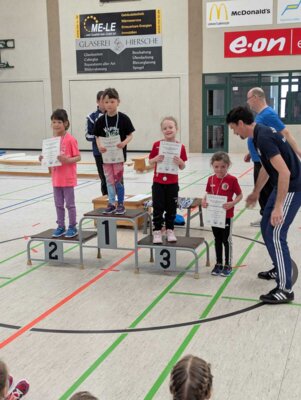 Foto des Albums: Offene Regionale Hallenkreismeisterschaften Torgelow
