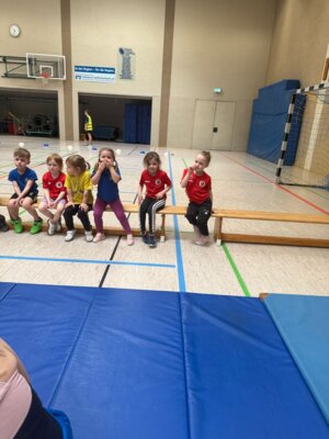 Foto des Albums: Offene Regionale Hallenkreismeisterschaften Torgelow