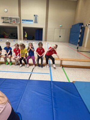 Foto des Albums: Offene Regionale Hallenkreismeisterschaften Torgelow