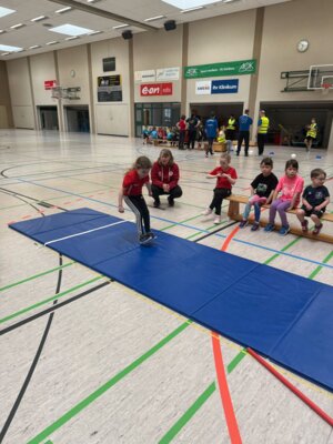 Foto des Albums: Offene Regionale Hallenkreismeisterschaften Torgelow
