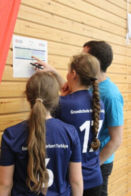 Foto des Albums: Alba Schulcup