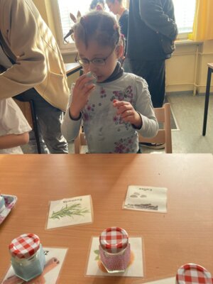 Foto des Albums: Erlebnistag