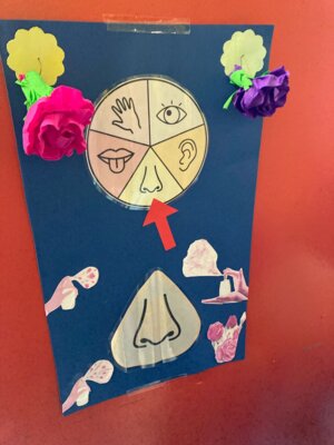 Foto des Albums: Erlebnistag