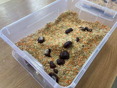 Foto des Albums: Erlebnistag