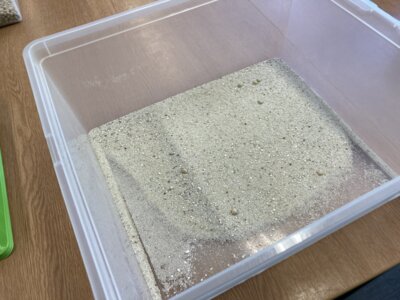 Foto des Albums: Erlebnistag