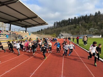 Foto des Albums: Sportfest 2025