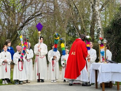 Foto des Albums: Palmsonntag in der Pfarrei Schönach