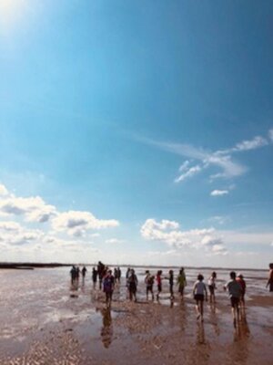 Foto des Albums: Ausflug zum Katinger Watt -Nordsee-