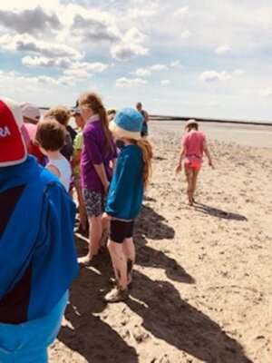 Foto des Albums: Ausflug zum Katinger Watt -Nordsee-