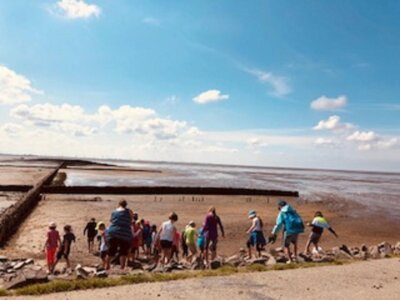 Foto des Albums: Ausflug zum Katinger Watt -Nordsee-