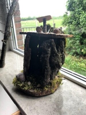 Foto des Albums: Kunst-Projekttag