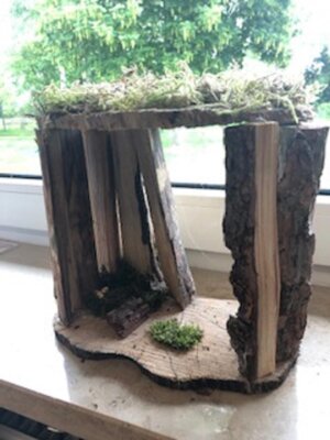Foto des Albums: Kunst-Projekttag