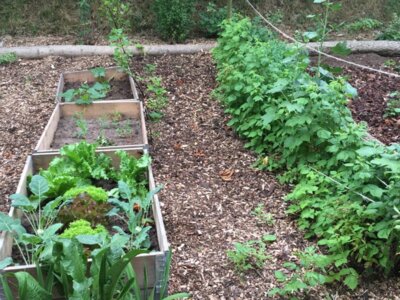 Foto des Albums: Schulgarten-Frühjahr- & Sommer-Impressionen Kleinvollstedt
