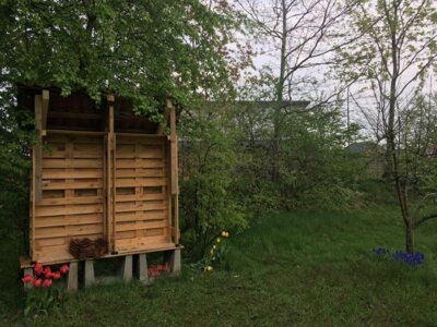 Foto des Albums: Schulgarten-Frühjahr- & Sommer-Impressionen Kleinvollstedt