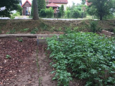 Foto des Albums: Schulgarten-Frühjahr- & Sommer-Impressionen Kleinvollstedt