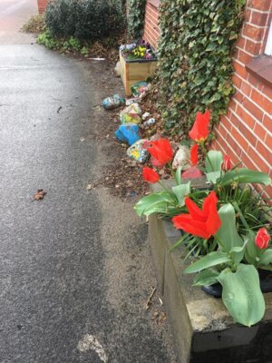 Foto des Albums: Schulgarten-Frühjahr- & Sommer-Impressionen Kleinvollstedt