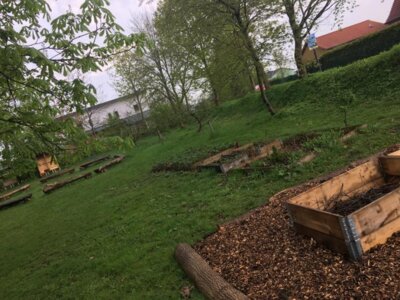 Foto des Albums: Schulgarten-Frühjahr- & Sommer-Impressionen Kleinvollstedt