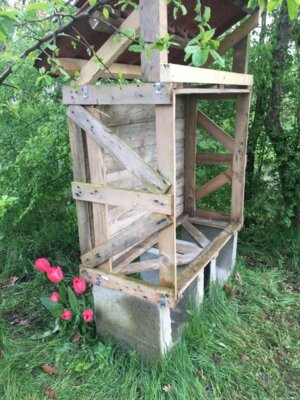 Foto des Albums: Schulgarten-Frühjahr- & Sommer-Impressionen Kleinvollstedt