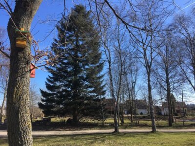 Foto des Albums: Schulgarten-Winter-Impressionen in Kleinvollstedt