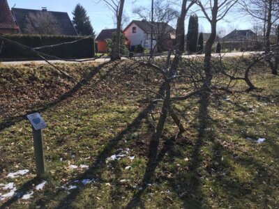 Foto des Albums: Schulgarten-Winter-Impressionen in Kleinvollstedt