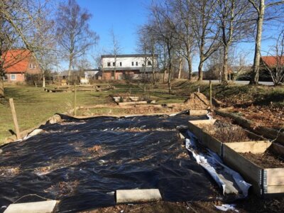 Foto des Albums: Schulgarten-Winter-Impressionen in Kleinvollstedt