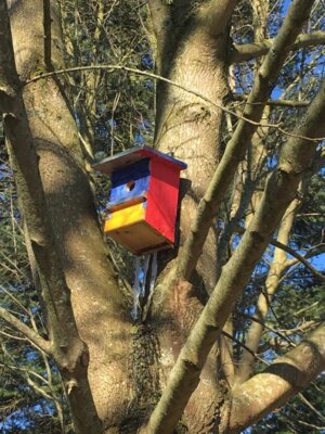 Foto des Albums: Schulgarten-Winter-Impressionen in Kleinvollstedt