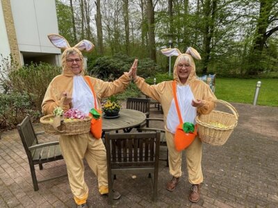 Foto des Albums: Ostereiersammeln 2025