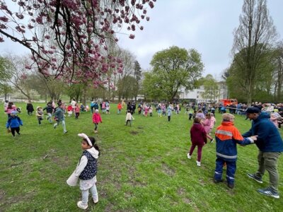 Foto des Albums: Ostereiersammeln 2025