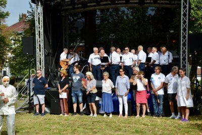 Foto des Albums: Kurparkfest 2024