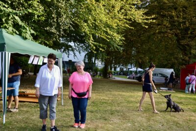 Foto des Albums: Kurparkfest 2024