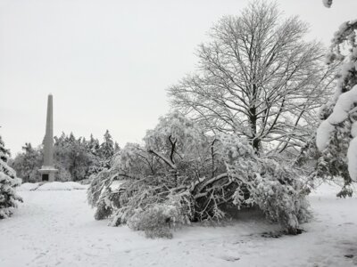 Fotoalbum Winter