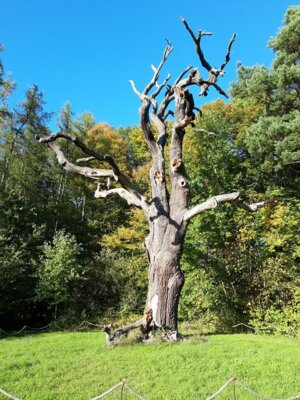 Fotoalbum Herbst