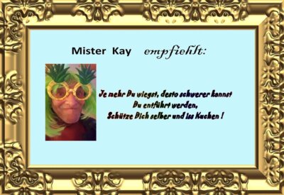 Vorschaubild: MisterKayEmpfiehlt-Kuchenschutz