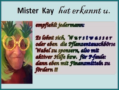 Vorschaubild: MisterKayHatErkannt-Sponsoring01