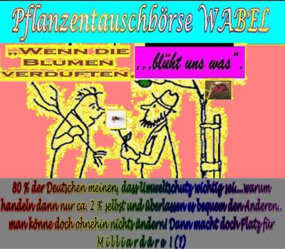 Vorschaubild: Pflanzentauschbörse-BaldBlühtUnsWas