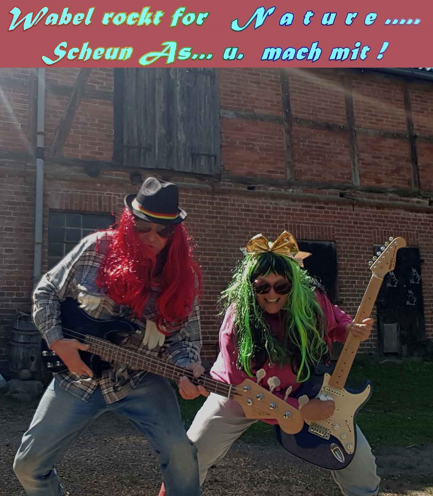 Bild: WabelRocktForNature01
